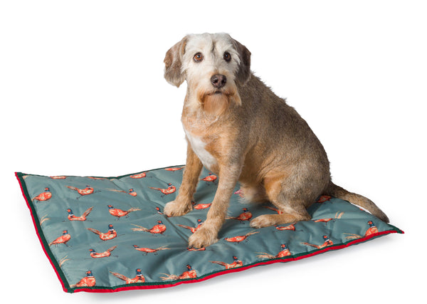 Green Pheasant Boot Mat