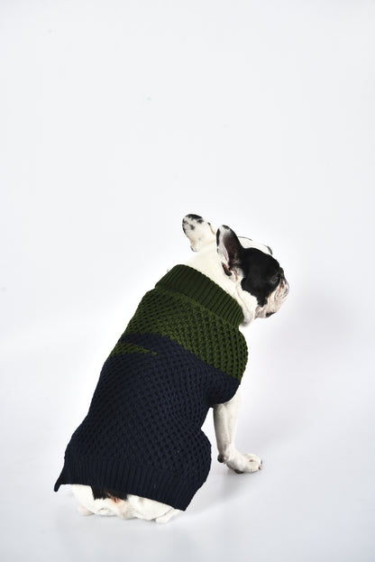 Pull à col polo en tricot bleu marine et vert