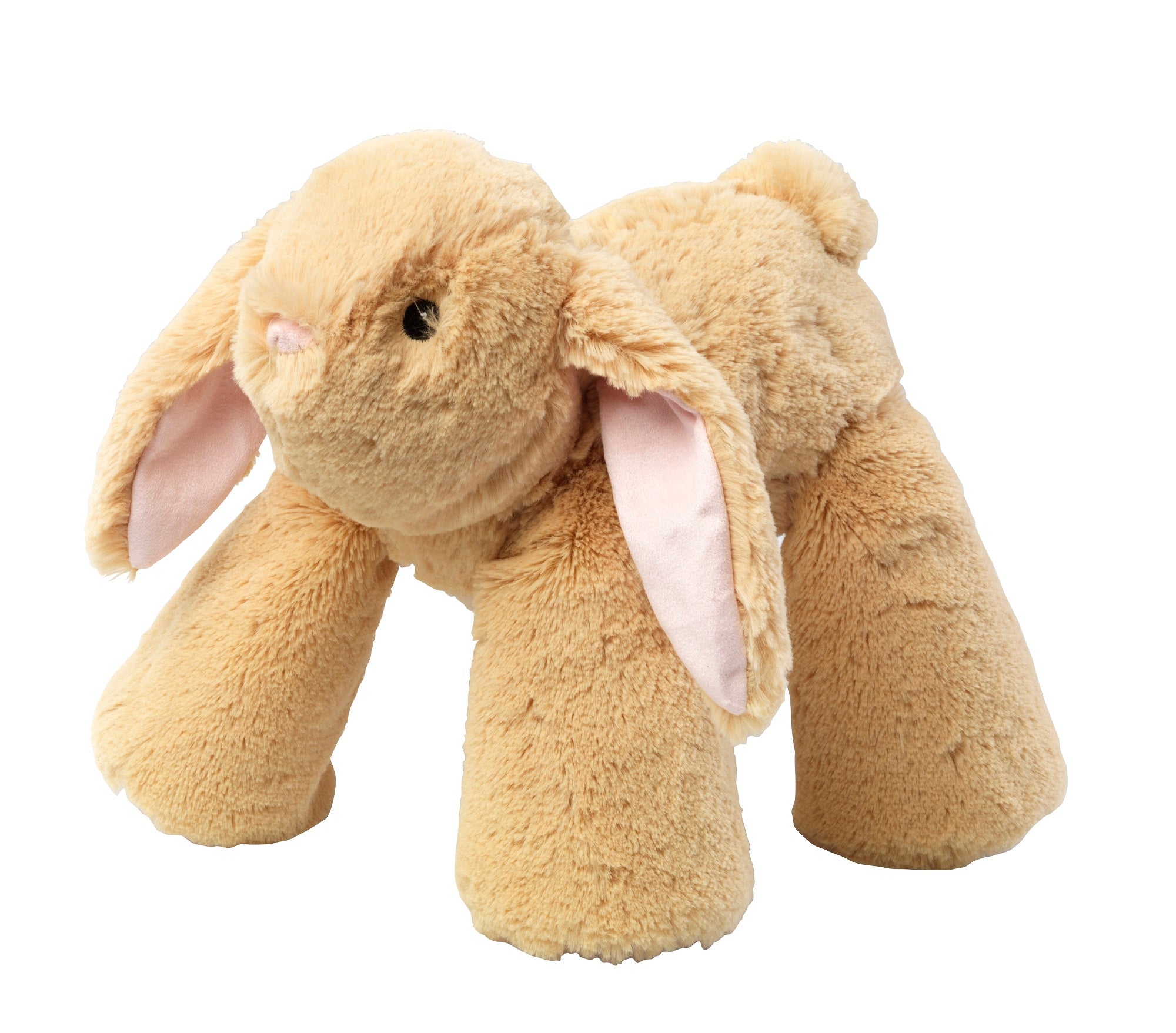 Big paws teddy bear online
