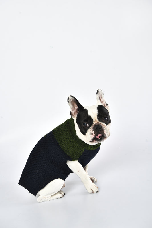 Pull à col polo en tricot bleu marine et vert