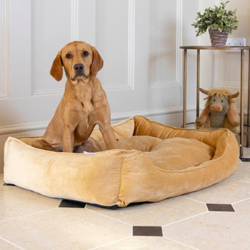 Best Selling Velvet Pet  Bed - Mustard